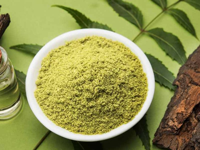 Benefits of Neem Powder for Skin and Hair - 365 gorgeous