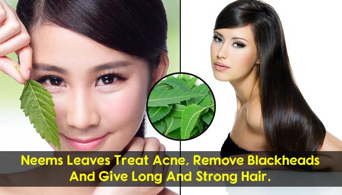 neem powder for hair and skin